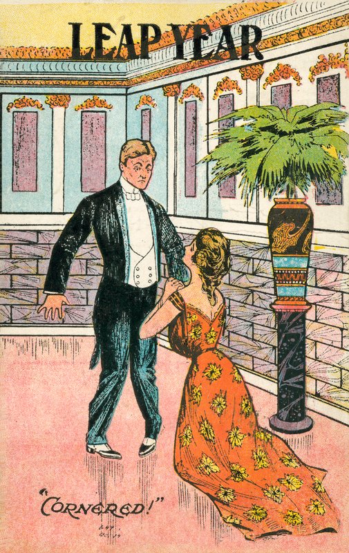 Leap Year Proposal by American School