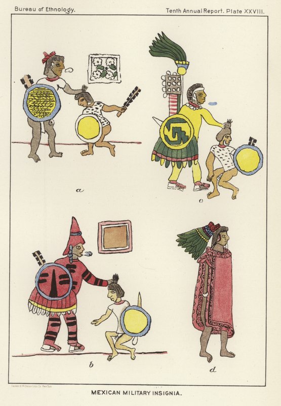 Mexican Military Insignia by American School