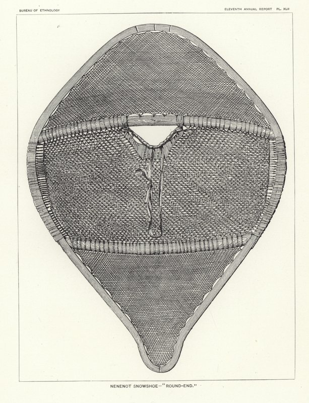 Nenenot Snowshoe - Round-End by American School