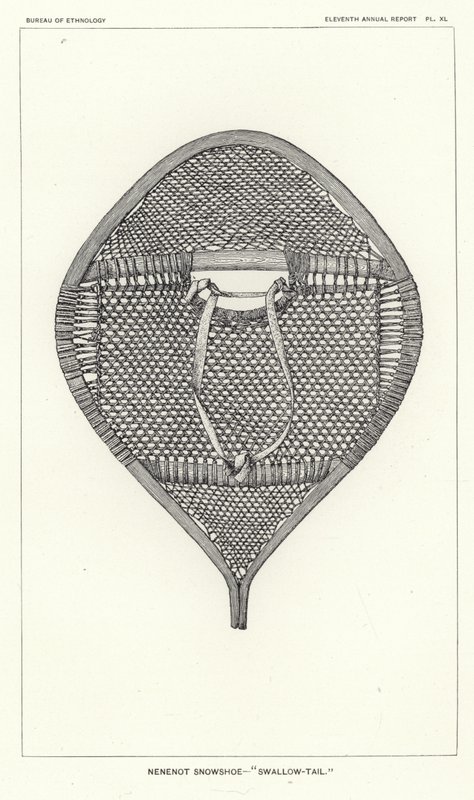 Nenenot Snowshoe - Swallow-Tail by American School