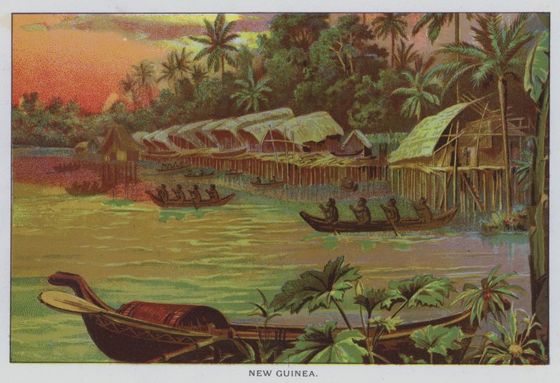 New Guinea by American School