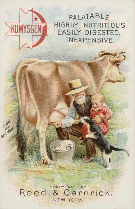 Old Man Milking Cow, with Child and Cat by American School