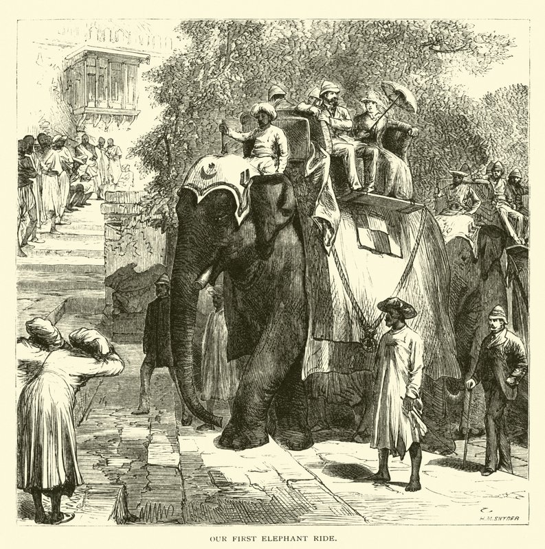 Our First Elephant Ride by American School