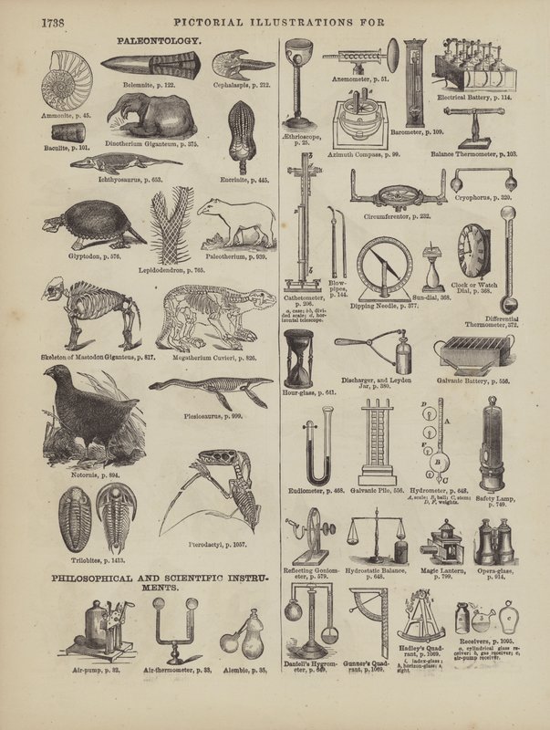 Page from Webster