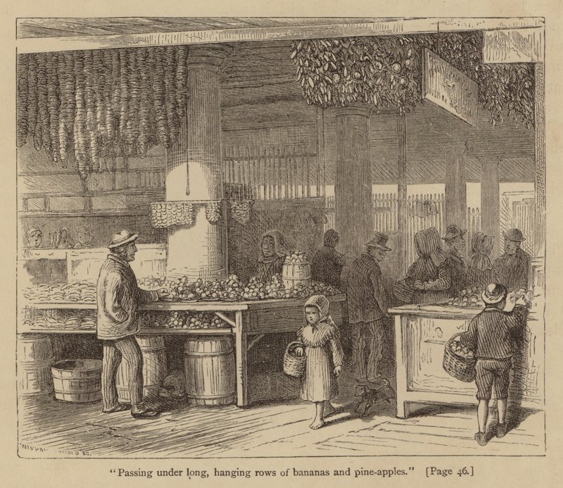 Passing under long, hanging rows of bananas and pineapples by American School