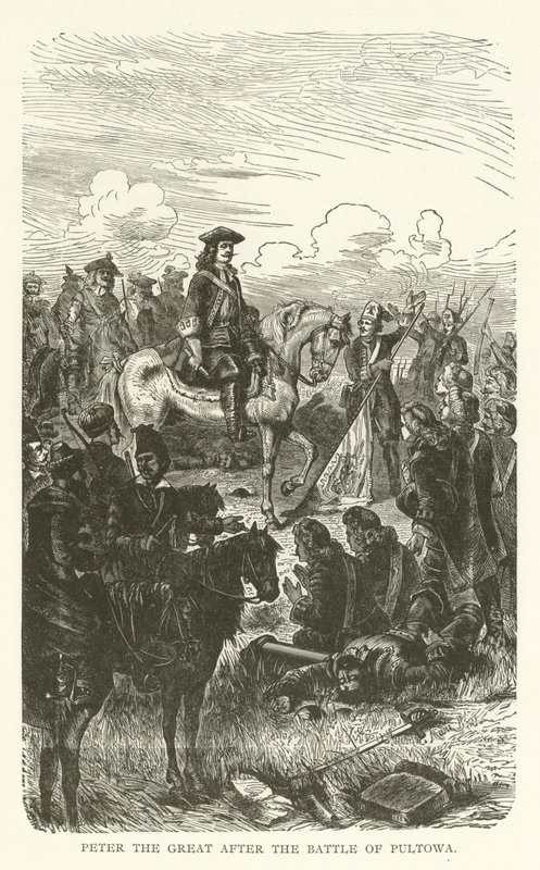 Peter the Great after the Battle of Poltava by American School