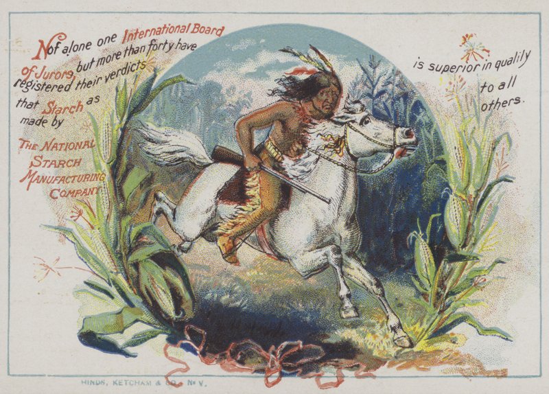 Red Indian on horseback by American School