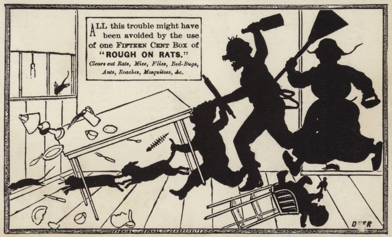 Rough on Rats by American School