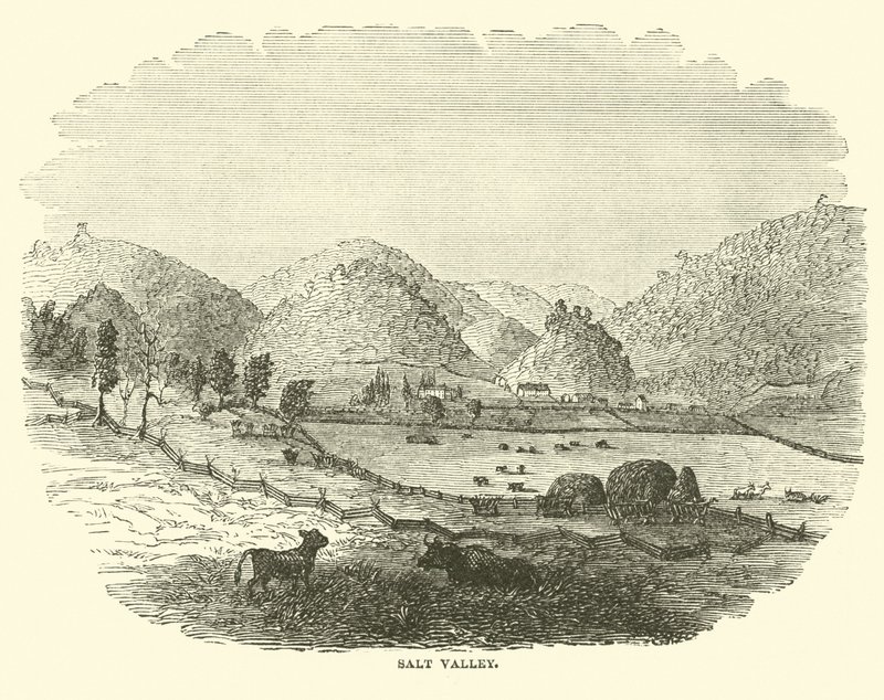 Salt Valley, December 1864 by American School