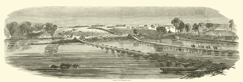 Sedgwick