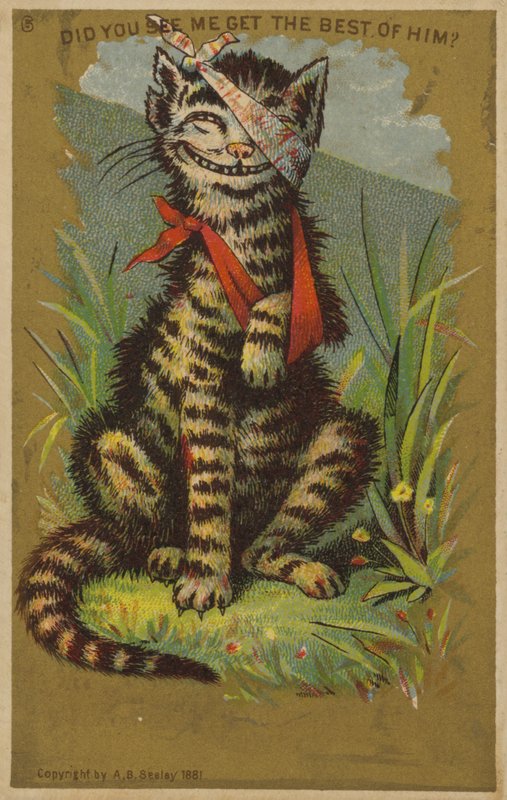 Smirking Cat with Injuries by American School