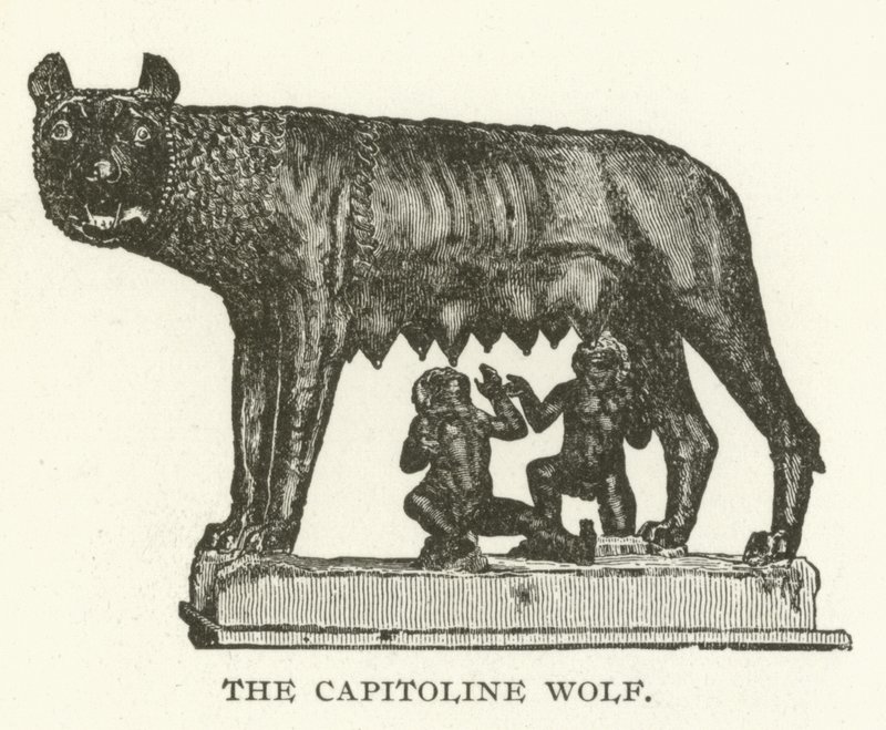 The Capitoline Wolf by American School