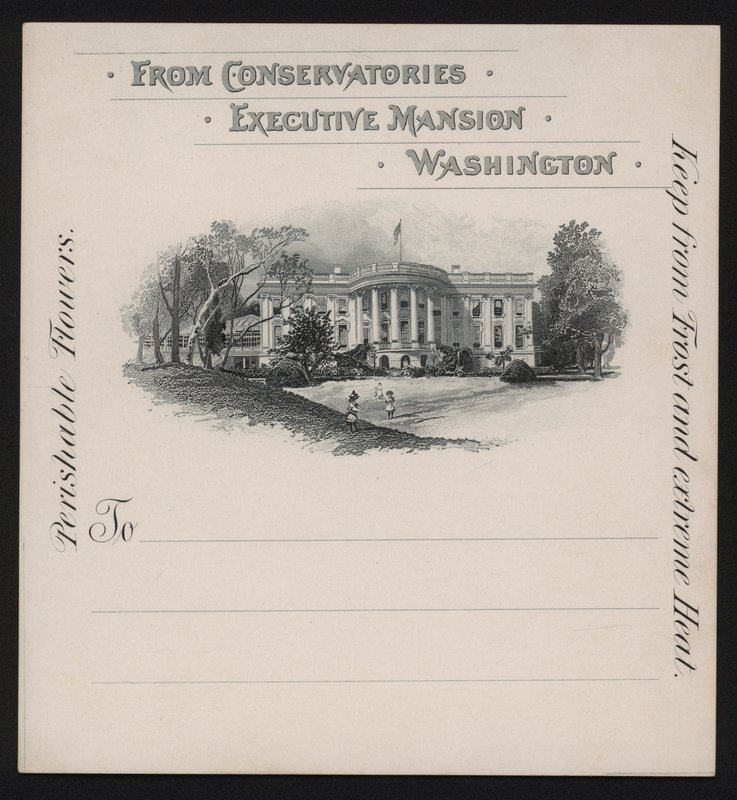 The White House, Washington DC, USA by American School