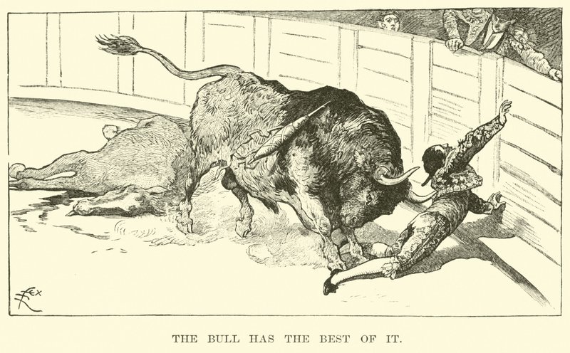 The bull has the best of it by American School