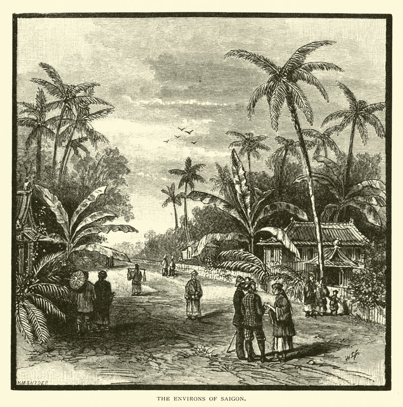 The Environs of Saigon by American School