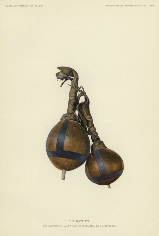 The Rattles by American School