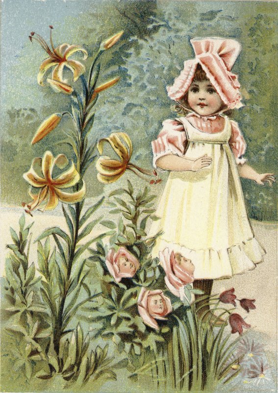 We can talk, said the tiger-lily by American School