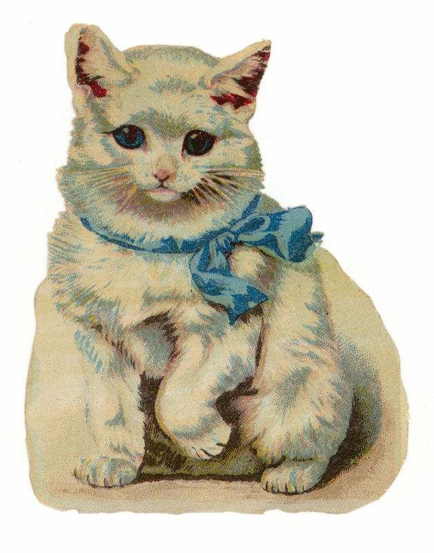 White Cat Wearing Blue Bow by American School