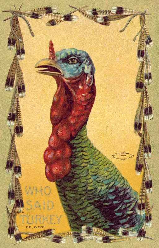 Who Said Turkey, Thanksgiving Day card by American School