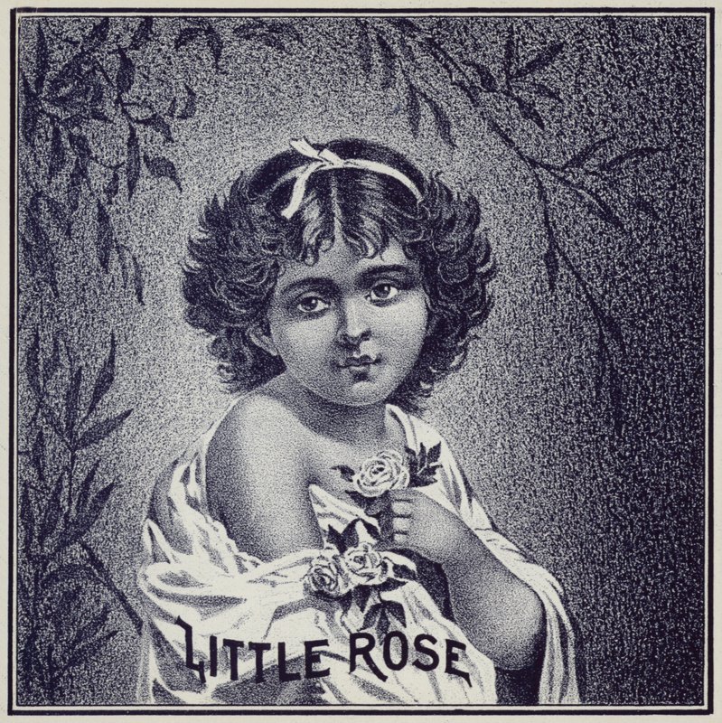 Young Girl Holding Roses by American School