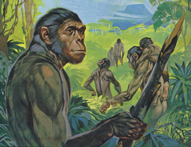Pithecanthropus by Angus McBride