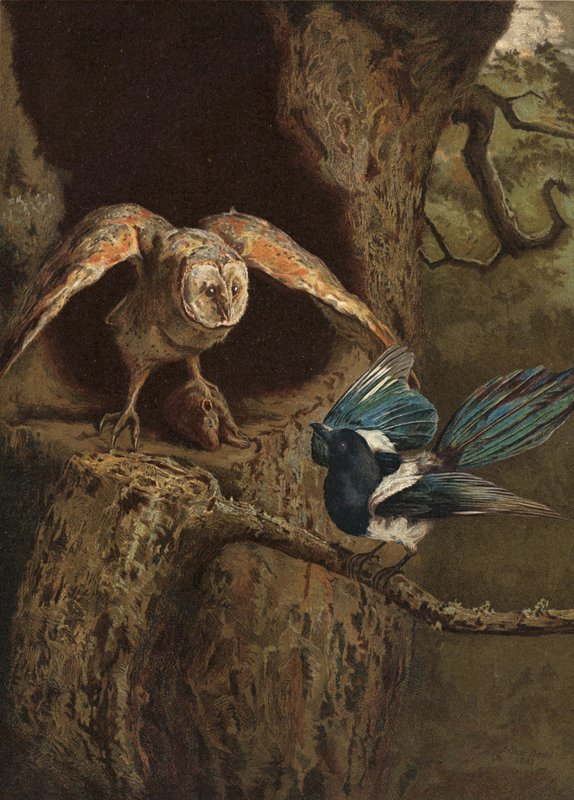 Wit and Wisdom by Arthur Charles Dodd