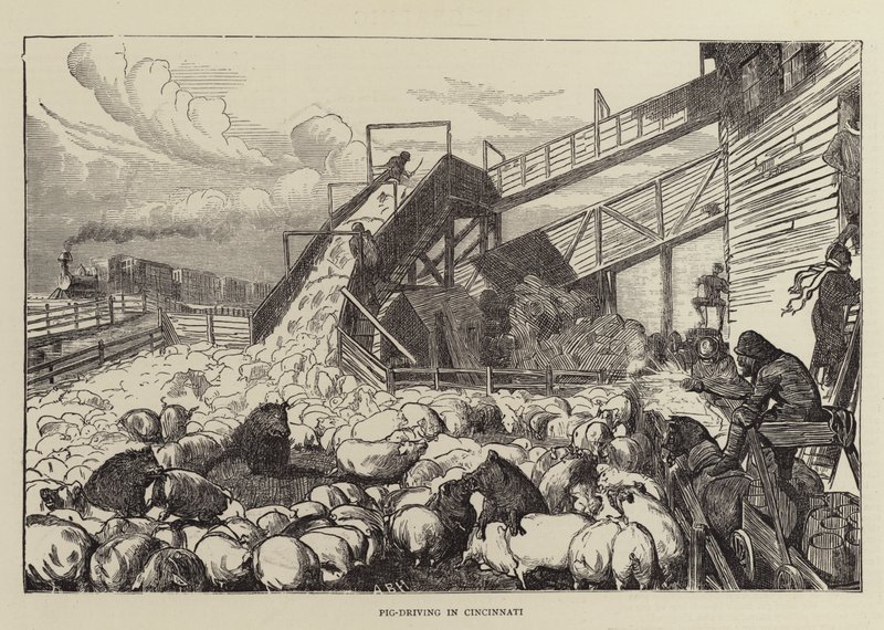Pig-Driving in Cincinnati by Arthur Boyd Houghton