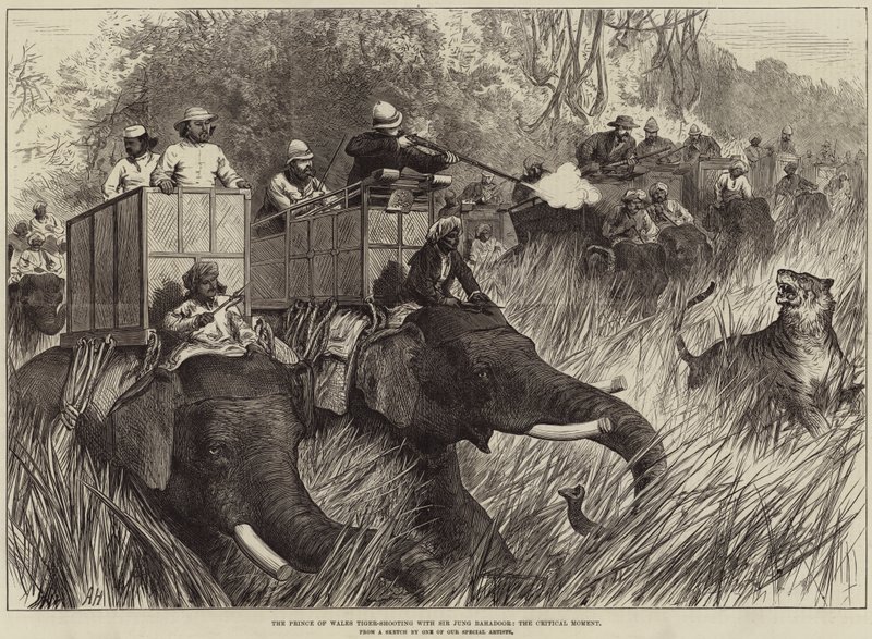 The Prince of Wales Tiger-Shooting with Sir Jung Bahadoor, the Critical Moment by Arthur Hopkins