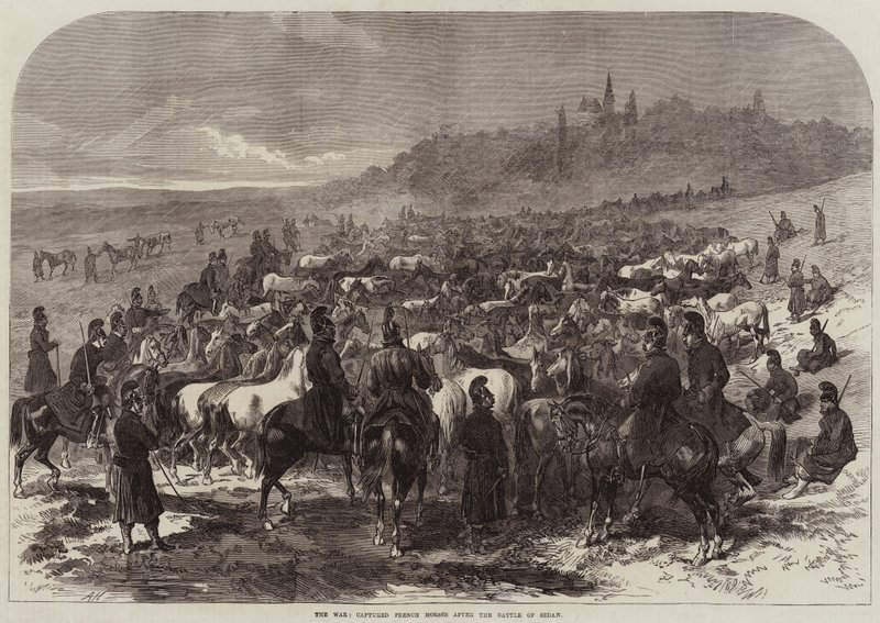 The War, captured French Horses after the Battle of Sedan by Arthur Hopkins