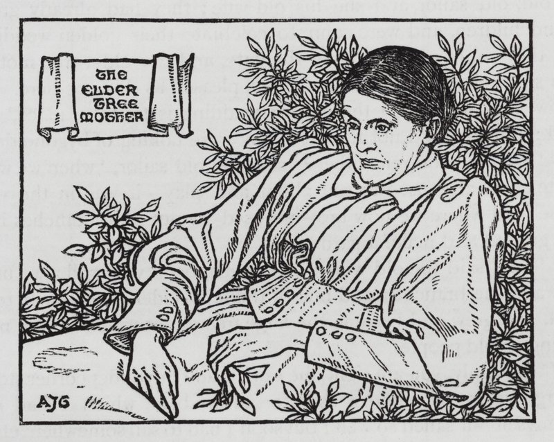Hans Christian Andersen: The Little Elder-Tree Mother by Arthur Joseph Gaskin