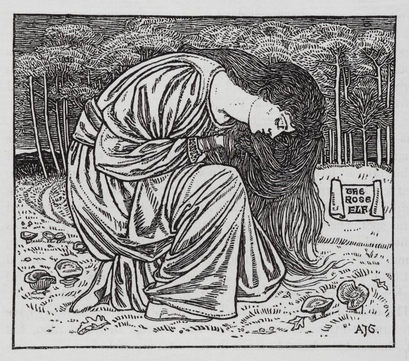 Hans Christian Andersen: The Rose Elf by Arthur Joseph Gaskin