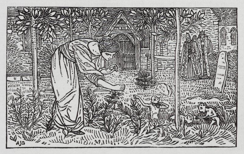 Hans Christian Andersen: The Wild Swans by Arthur Joseph Gaskin