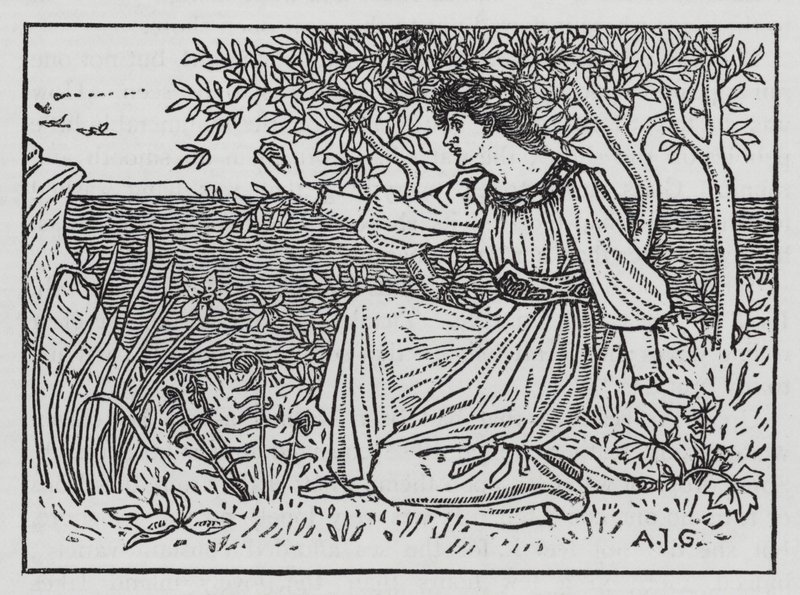 Hans Christian Andersen: The Wild Swans by Arthur Joseph Gaskin