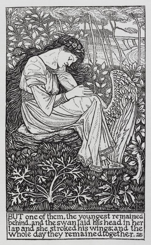 Hans Christian Andersen: The Wild Swans by Arthur Joseph Gaskin