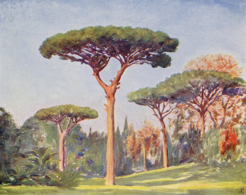 Rock Pines, Villa Floridiana by Augustine Fitzgerald