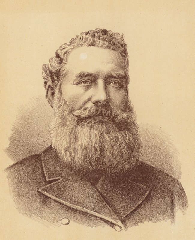 The Honourable James White by Australian School