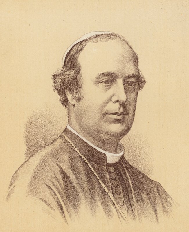 The Most Reverend Roger Bede Vaughan, Archbishop of Sydney by Australian School