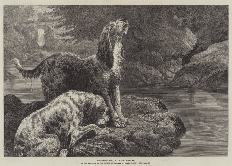 Otter-Hounds by Basil Bradley