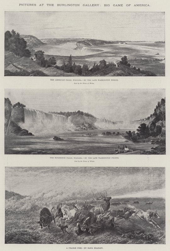 Pictures at the Burlington Gallery, Big Game of America by Basil Bradley