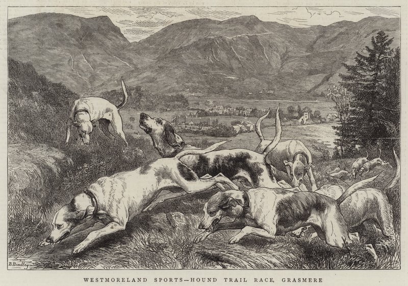 Westmoreland Sports, Hound Trial Race, Grasmere by Basil Bradley