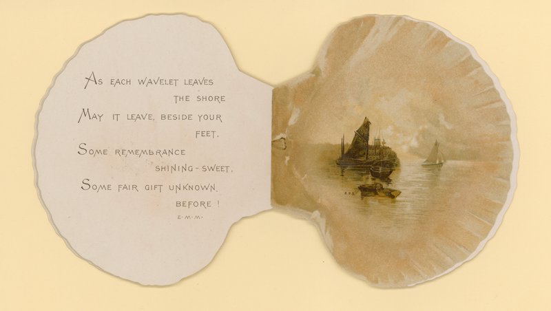 Illustration for booklet entitled Sea Shells by Benjamin D. Sigmund