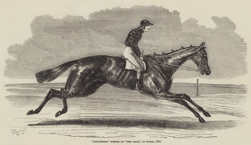 Songstress, Winner of The Oaks, at Epsom by Benjamin Herring
