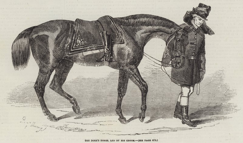 The Duke