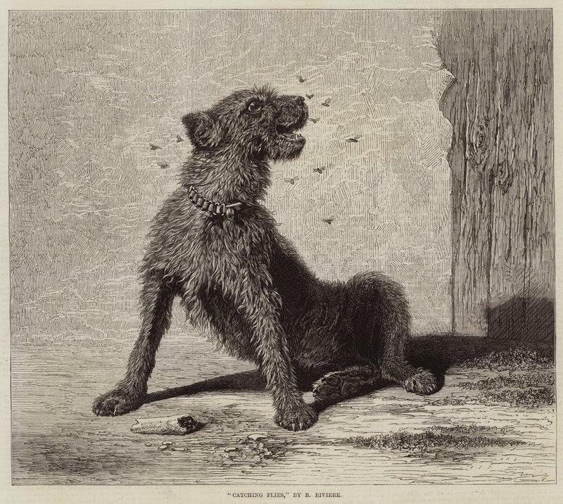 Catching Flies by Briton Riviere