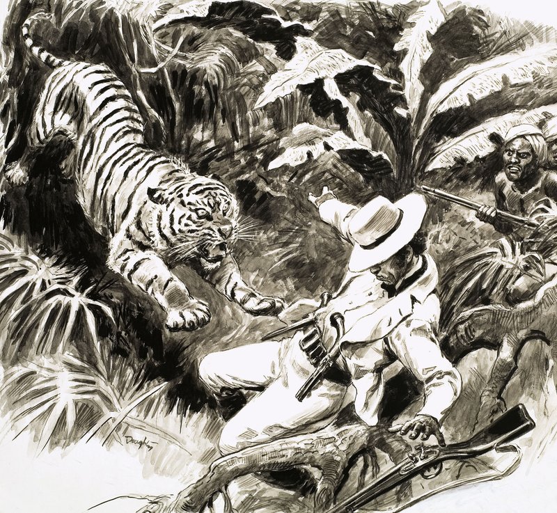 Tiger attacking hunter by C.L. Doughty