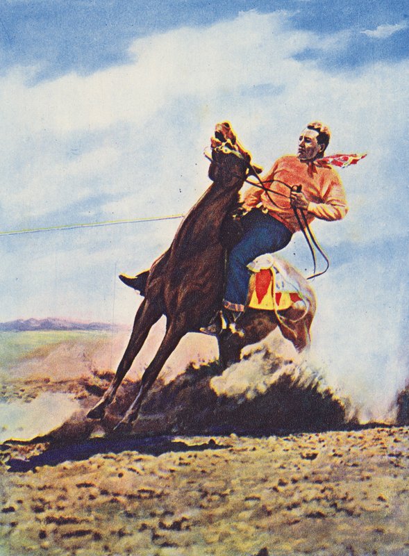 Cowboy bringing his horse to a rapid stop by Canadian Photographer