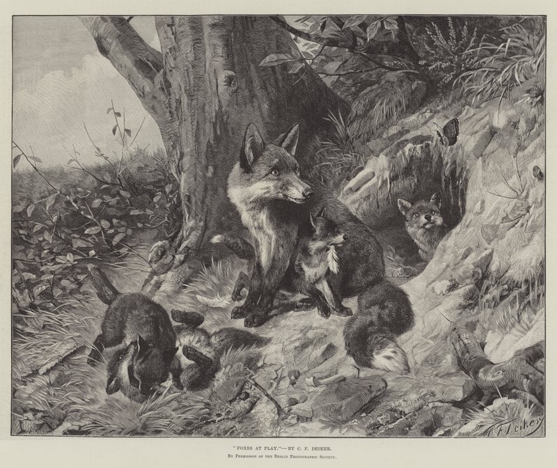 Foxes at Play by Carl Friedrich Deiker