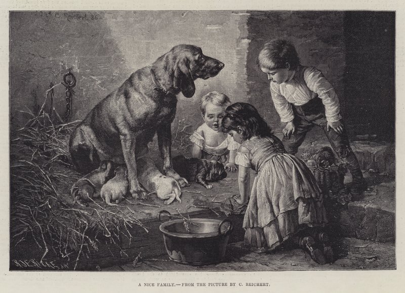A Nice Family by Carl Reichert