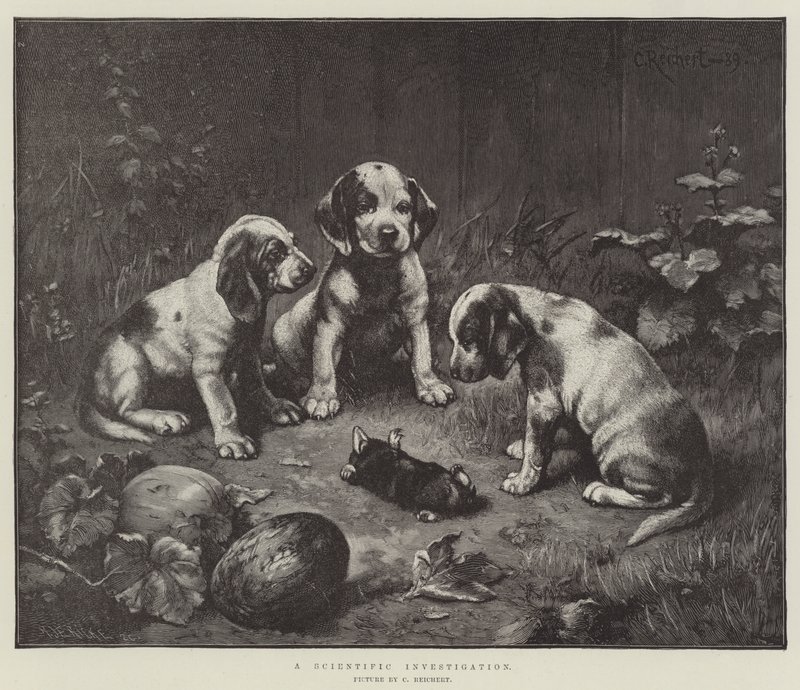 A Scientific Investigation by Carl Reichert