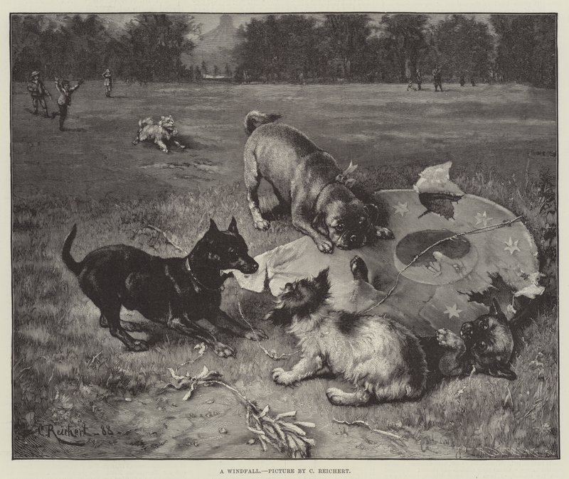 A Windfall by Carl Reichert